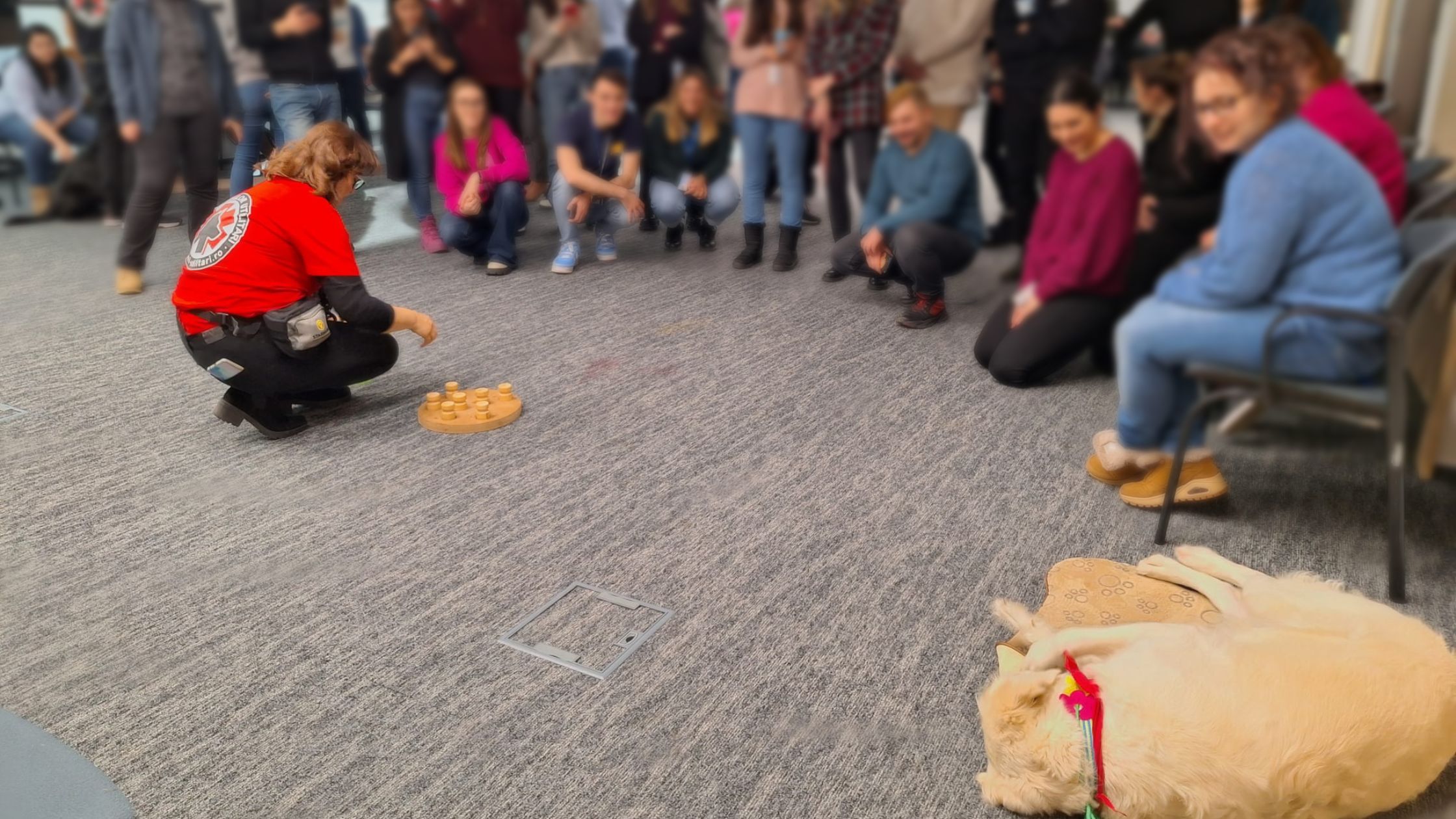 De ce ar trebui ca fiecare companie să aibă un program de terapie cu câini în 2026