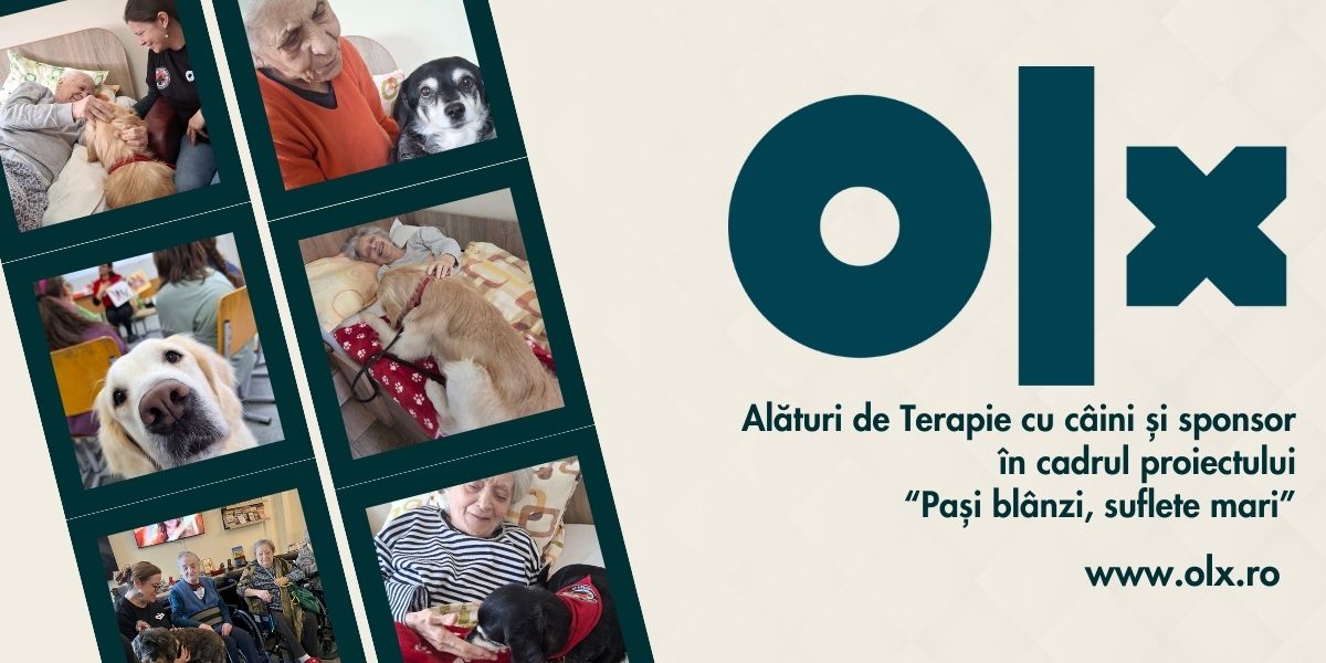 Sponsor OLX Pagina Pasi blanzi, suflete mari