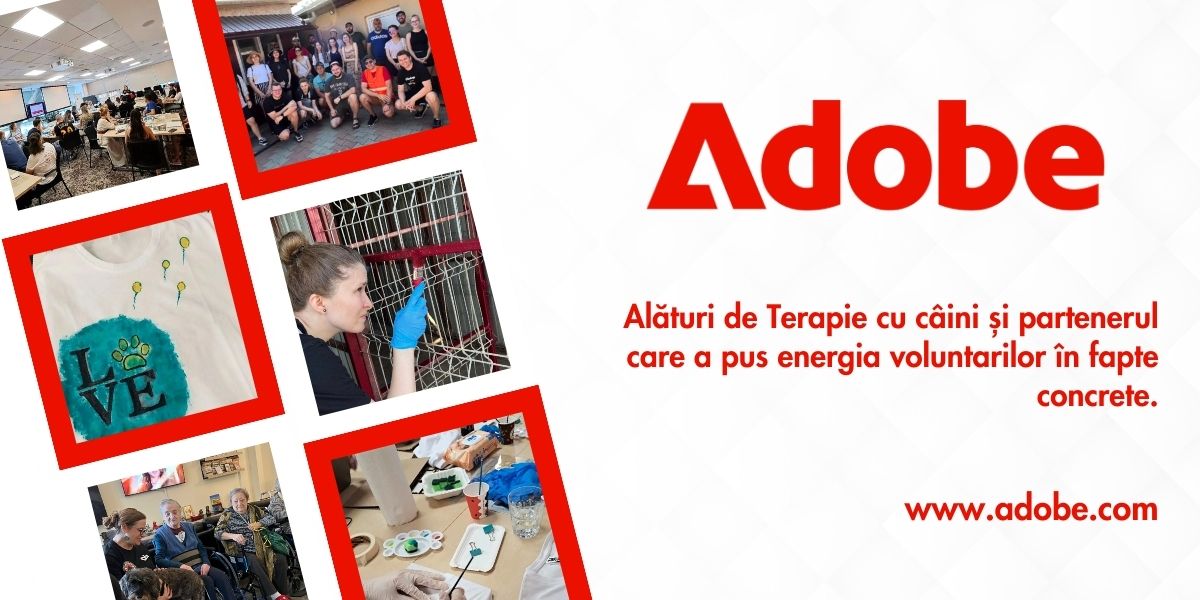 Adobe – partenerul care a pus energia voluntarilor în fapte concrete